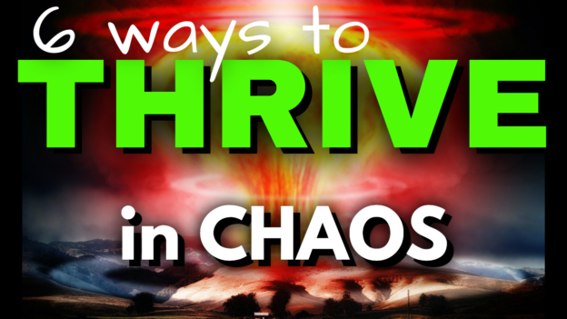 thrive in chaos